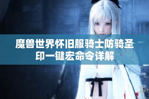 魔兽世界怀旧服骑士防骑圣印一键宏命令详解