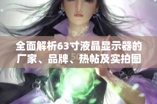 全面解析63寸液晶显示器的厂家、品牌、热帖及实拍图片