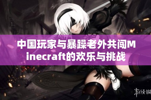中国玩家与暴躁老外共闯Minecraft的欢乐与挑战