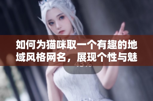 如何为猫咪取一个有趣的地域风格网名，展现个性与魅力