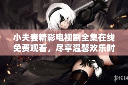 小夫妻精彩电视剧全集在线免费观看，尽享温馨欢乐时光