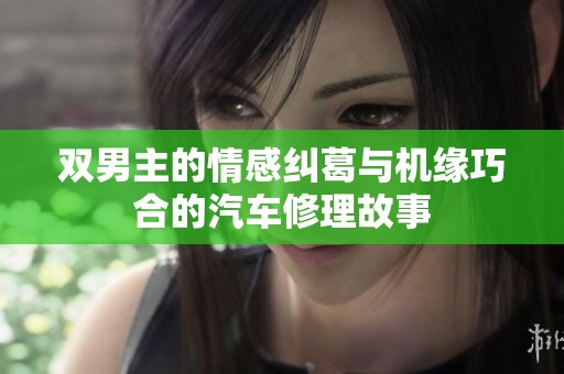双男主的情感纠葛与机缘巧合的汽车修理故事