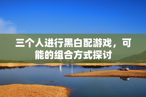 三个人进行黑白配游戏，可能的组合方式探讨