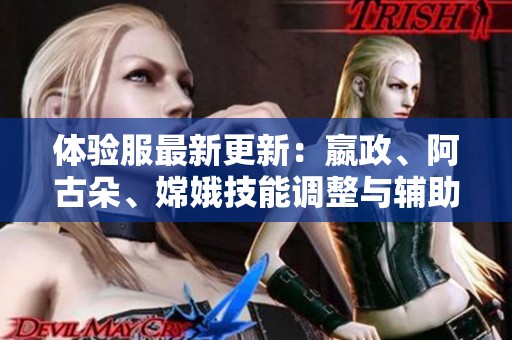 体验服最新更新：嬴政、阿古朵、嫦娥技能调整与辅助装备变动解析