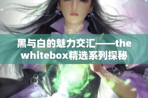 黑与白的魅力交汇——thewhitebox精选系列探秘