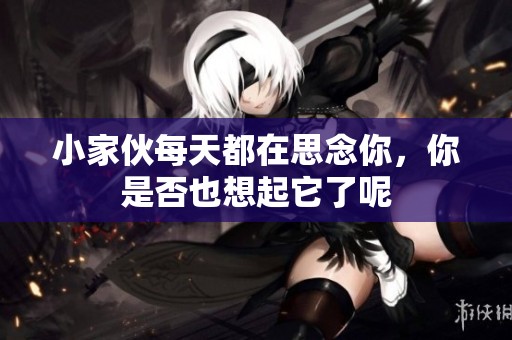 小家伙每天都在思念你，你是否也想起它了呢