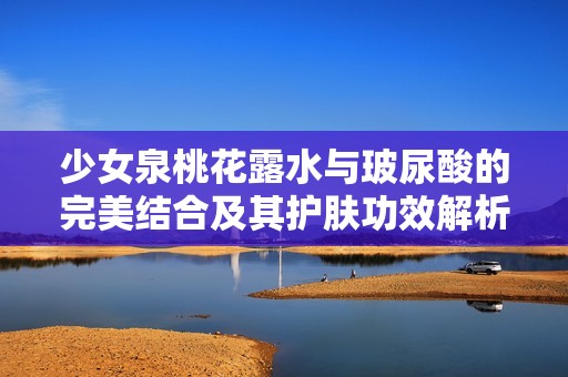 少女泉桃花露水与玻尿酸的完美结合及其护肤功效解析
