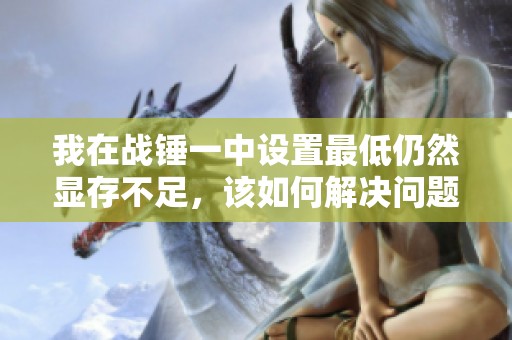 我在战锤一中设置最低仍然显存不足，该如何解决问题