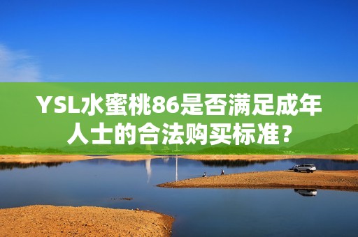 YSL水蜜桃86是否满足成年人士的合法购买标准？