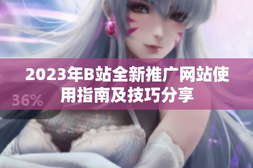 2023年B站全新推广网站使用指南及技巧分享