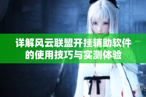 详解风云联盟开挂辅助软件的使用技巧与实测体验
