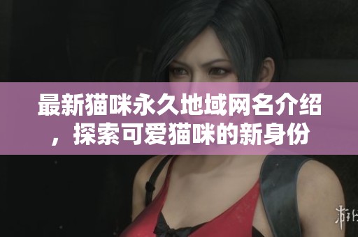 最新猫咪永久地域网名介绍，探索可爱猫咪的新身份