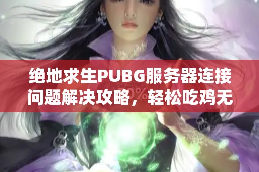 绝地求生PUBG服务器连接问题解决攻略，轻松吃鸡无忧