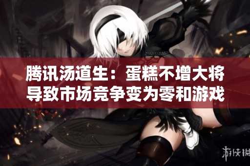 腾讯汤道生：蛋糕不增大将导致市场竞争变为零和游戏