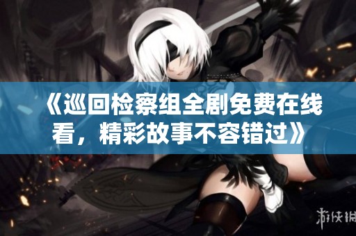 《巡回检察组全剧免费在线看，精彩故事不容错过》