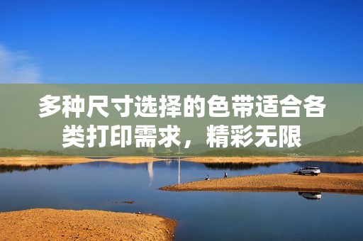 多种尺寸选择的色带适合各类打印需求，精彩无限