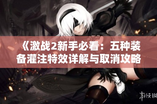 《激战2新手必看：五种装备灌注特效详解与取消攻略》