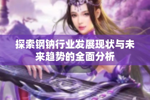 探索钢钠行业发展现状与未来趋势的全面分析