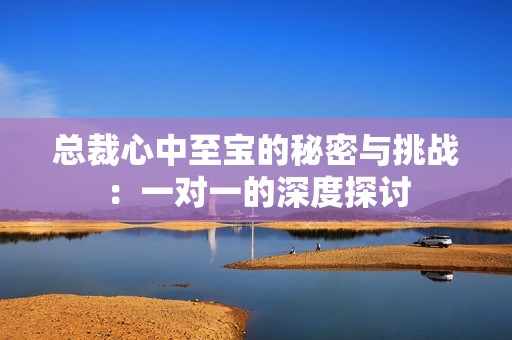 总裁心中至宝的秘密与挑战：一对一的深度探讨