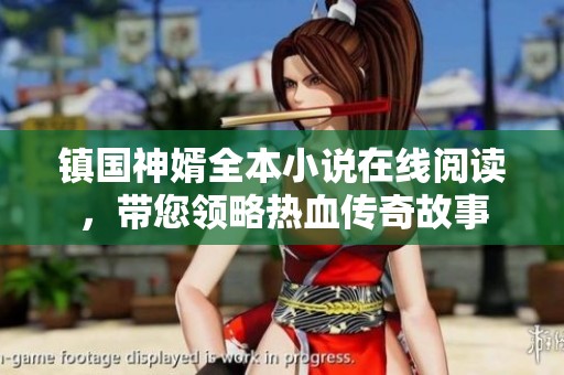 镇国神婿全本小说在线阅读，带您领略热血传奇故事