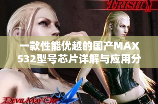 一款性能优越的国产MAX532型号芯片详解与应用分析
