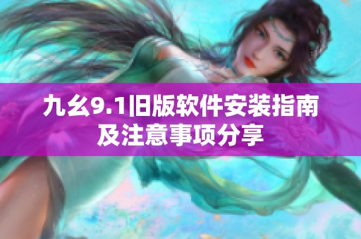 九幺9.1旧版软件安装指南及注意事项分享