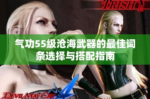 气功55级沧海武器的最佳词条选择与搭配指南
