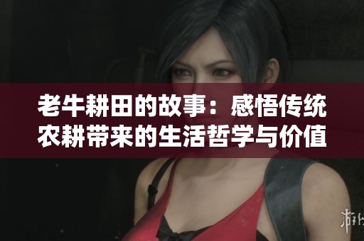 老牛耕田的故事：感悟传统农耕带来的生活哲学与价值