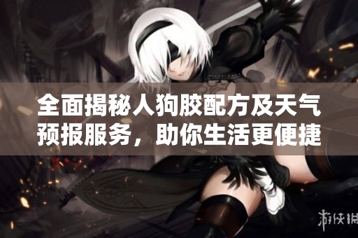全面揭秘人狗胶配方及天气预报服务，助你生活更便捷