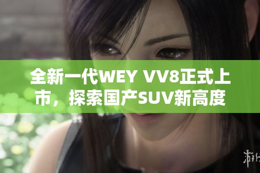全新一代WEY VV8正式上市，探索国产SUV新高度