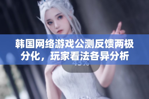 韩国网络游戏公测反馈两极分化，玩家看法各异分析