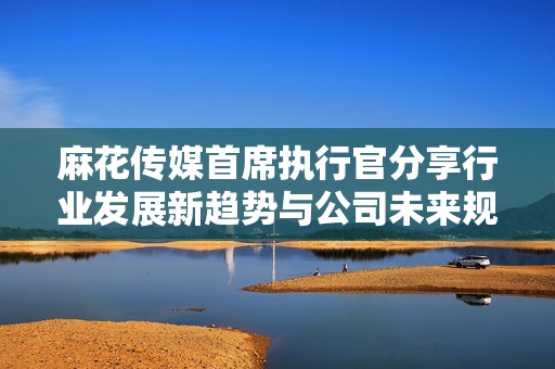 麻花传媒首席执行官分享行业发展新趋势与公司未来规划