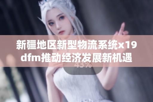 新疆地区新型物流系统x19dfm推动经济发展新机遇