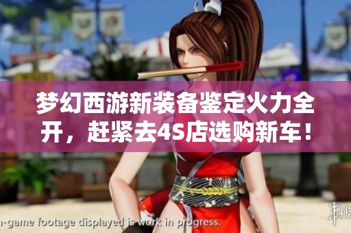 梦幻西游新装备鉴定火力全开，赶紧去4S店选购新车！