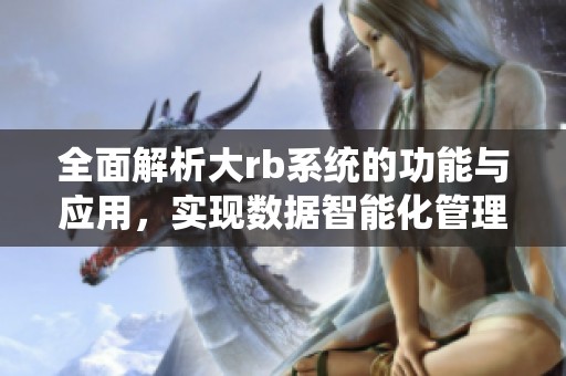 全面解析大rb系统的功能与应用，实现数据智能化管理