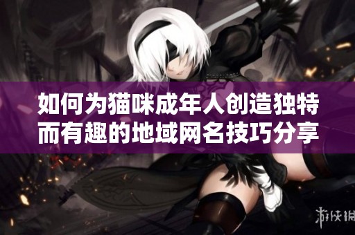 如何为猫咪成年人创造独特而有趣的地域网名技巧分享
