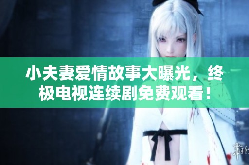 小夫妻爱情故事大曝光，终极电视连续剧免费观看！