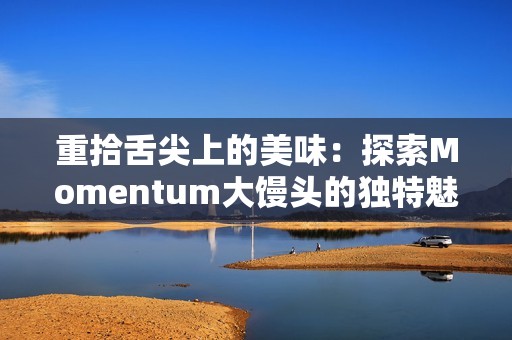 重拾舌尖上的美味：探索Momentum大馒头的独特魅力