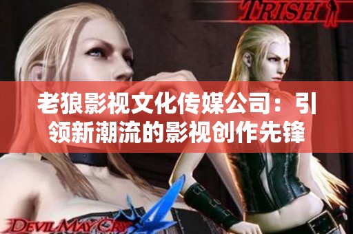 老狼影视文化传媒公司：引领新潮流的影视创作先锋