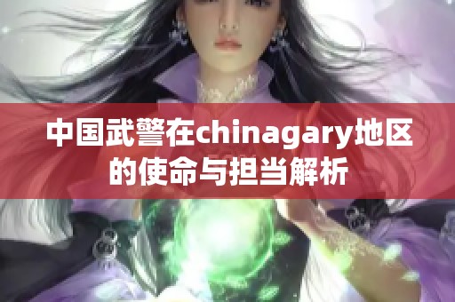 中国武警在chinagary地区的使命与担当解析