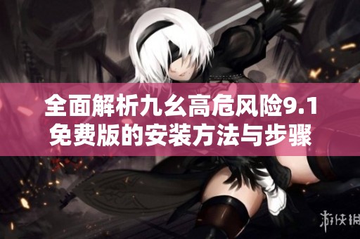 全面解析九幺高危风险9.1免费版的安装方法与步骤