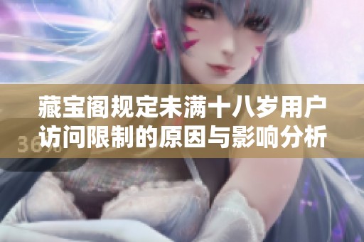 藏宝阁规定未满十八岁用户访问限制的原因与影响分析