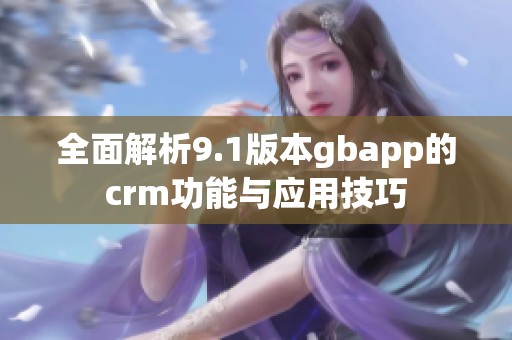 全面解析9.1版本gbapp的crm功能与应用技巧