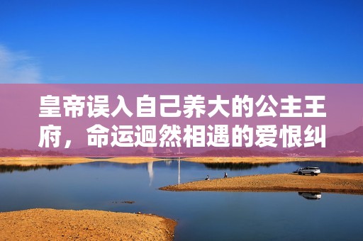 皇帝误入自己养大的公主王府，命运迥然相遇的爱恨纠葛