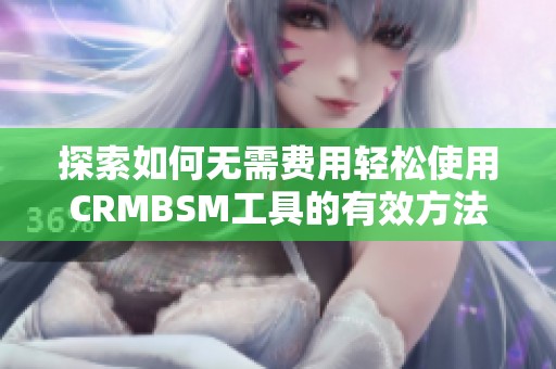 探索如何无需费用轻松使用CRMBSM工具的有效方法