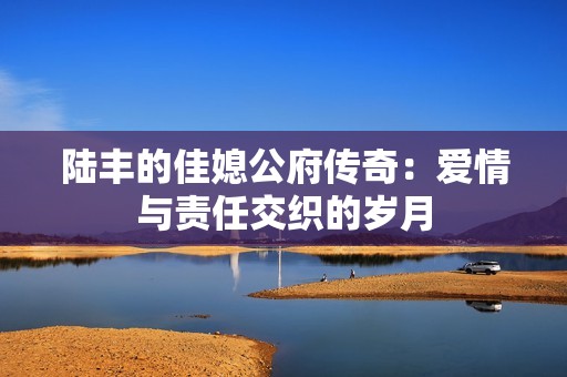 陆丰的佳媳公府传奇：爱情与责任交织的岁月