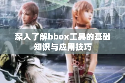 深入了解bbox工具的基础知识与应用技巧
