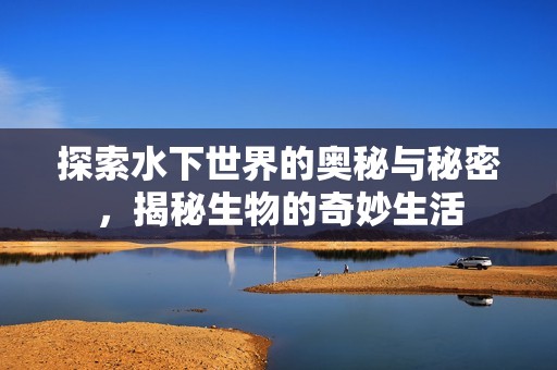 探索水下世界的奥秘与秘密，揭秘生物的奇妙生活