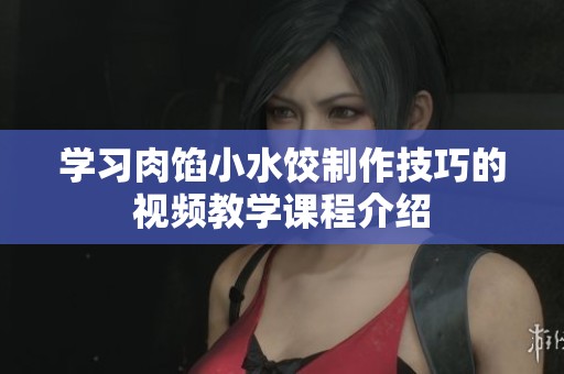 学习肉馅小水饺制作技巧的视频教学课程介绍