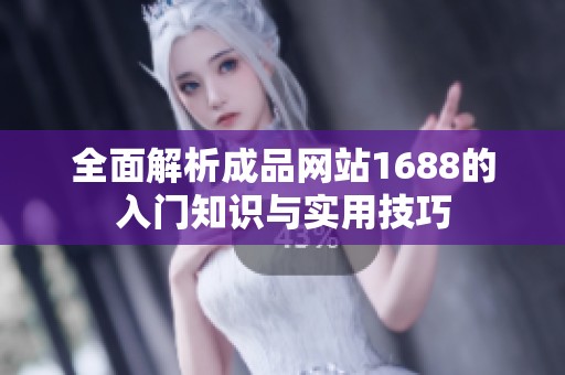 全面解析成品网站1688的入门知识与实用技巧